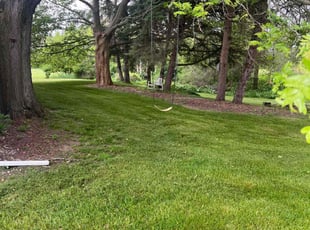 Pratik M.'s Lawn Mowing service result
