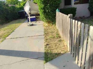 Bush Trimming by Anderson Trolson for Brandy H. in Millcreek, UT