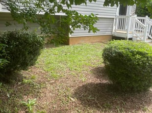 Bush Trimming by Mark Perugini for Richard R. in Dallas, GA