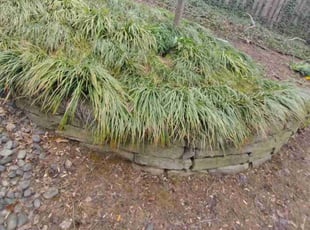 Leaf Removal by Jose Gonzalez for Mizuhiro S. in Fairfax, VA
