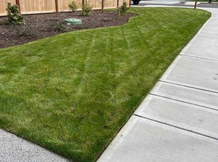 Joseph W.'s Lawn Service service result