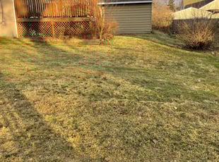 Leaf Removal by Chai Vue for Kyle Z. in Cuyahoga Falls, OH