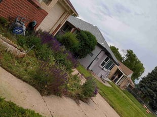 Weeding by Ken Garcia for Carol A. in Denver, CO