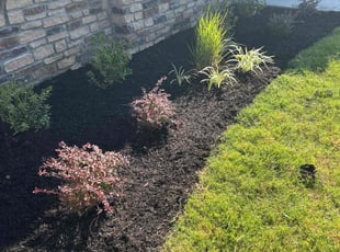 Cleanups by Joseph Brock for Andrew C. in Murfreesboro, TN