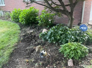 Weeding by Steven Green for Liz S. in Kettering, OH