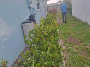 Bush Trimming by Peterson Dariste for Linda F. in Englewood, FL