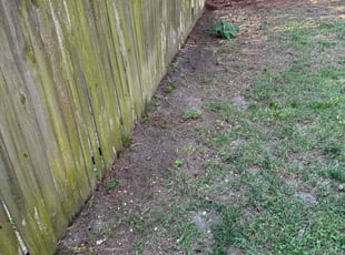 Cleanups by Edward Burrus for Kurtis B. in Portsmouth, VA