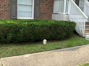 Bush Trimming by Crystal Murillo for Rachel S. in Conyers, GA