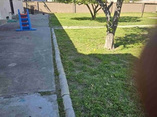 Deaon S.'s Grass Cutting service result