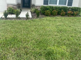 Bush Trimming by Zechariah Peter for Ryan P. in Land O' Lakes, FL
