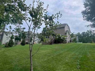 Valerie G.'s Yard Cutting service result