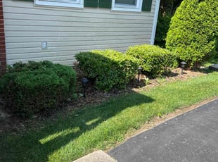 Bush Trimming by JosuΓ© and Eduardo Tena for Jose A. in Columbia, MD