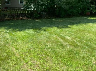 Tom T.'s Lawn Service service result