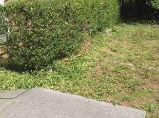 Bush Trimming by Montgomery Roberts for Stephen . in Marietta, GA