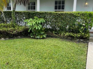 Bush Trimming by Kenneth Swayne Jr for Brian W. in Miami, FL