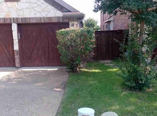 Bush Trimming by Valentina Toledo for D C. in Grand Prairie, TX