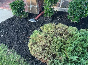 Mulching by Jai Kately for Pete L. in Waxahachie, TX
