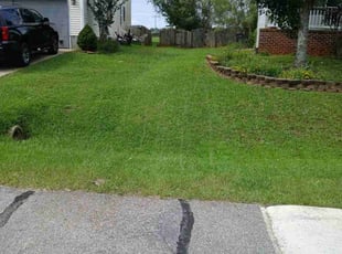 Teresa A.'s Lawn Care service result