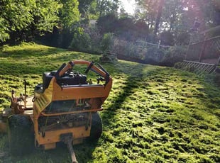 Cleanups by Yudelsy Sanchez for Roman P. in Chamblee, GA