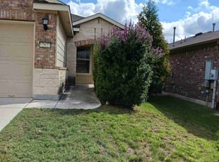 Bush Trimming by Logan Rowe for DENNIS H. in San Antonio, TX