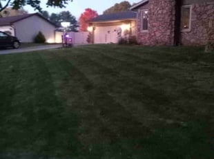 Adam W.'s Lawn Mowing service result