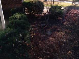 Leaf Removal by Thomas Swert for Greg F. in Toledo, OH