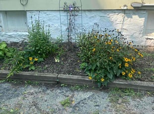 Weeding by Cam Joseph for Jenney H. in Rochester, NY