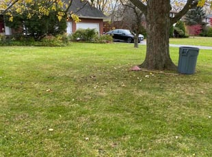 Leaf Removal by Duane Blackwood for Joan L. in Buffalo, NY