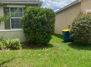 Bush Trimming by Calvin Williams for Rj I. in Jacksonville, FL