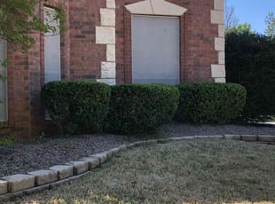 Bush Trimming by Anabel Hernandez for Toni K. in Grapevine, TX