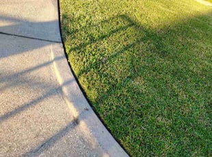 shazeen f.'s Grass Cutting service result