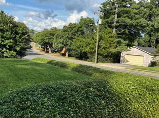 Bush Trimming by Terrance Flowers for Hunter B. in Charlotte, NC