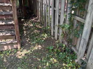 Cleanups by Jonatan Santos for Lisa W. in Washington, DC