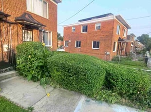 Bush Trimming by Amber Fuentes for Janet W. in Washington, DC
