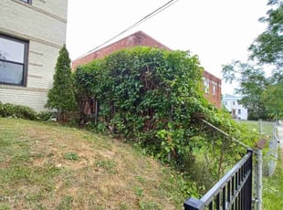 Bush Trimming by Amber Fuentes for Will S. in Washington, DC