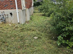 Richard G.'s Lawn Care service result