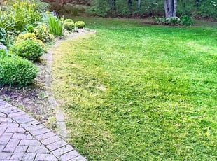 Cleanups by Martin Jackson for Kenneth L. in Shohola, PA