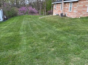 Cynthia M.'s Lawn Mowing service result