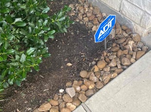 Weeding by David Hobson for Jarrod W. in Conroe, TX