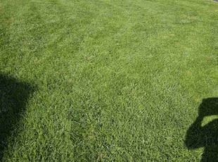 Ron R.'s Lawn Care service result