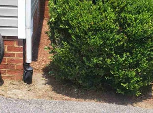 Leaf Removal by Rohan James for Mellone P. in Chester, VA