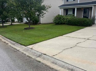 Jim S.'s Yard Cutting service result