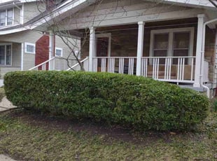 Bush Trimming by Daniel Bunch for Matthew B. in Columbus, OH