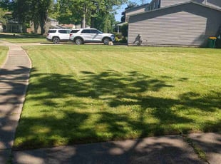 Catharine S.'s Lawn Care service result