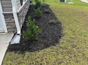 Weeding by Shane Digon for Hilaire T. in Wilmington, NC