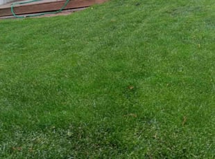 Debbie c.'s Lawn Care service result