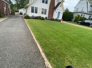 Christi R.'s Lawn Service service result