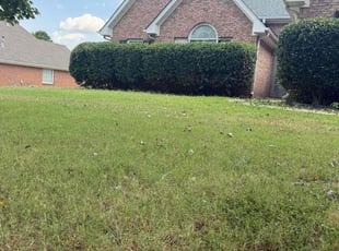 Bush Trimming by B J for Tiffany C. in McDonough, GA