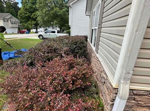 Bush Trimming by Jeremy Lane for Shalonda c. in McDonough, GA