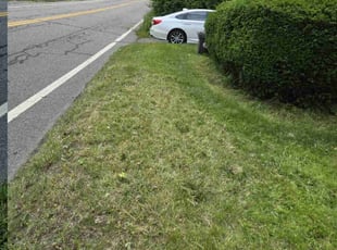 Bush Trimming by Kenneth Giarratano for Stephanie R. in West Milford, NJ